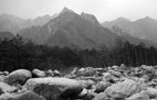 Nature Digital Photography