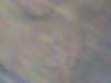 thumbnail of Item 2 Title
