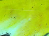 thumbnail of Item 2 Title