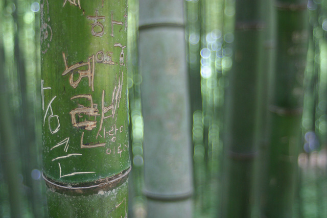 Graffiti in Bamboo