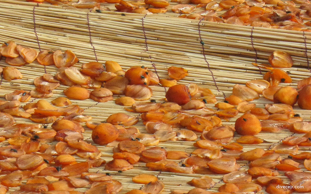 Dried Orange Peels in the Sun at Songgwang Temple